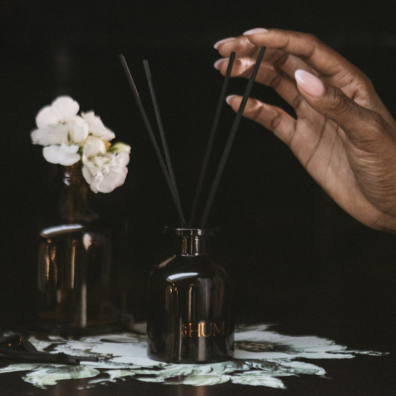Ambre Lumière